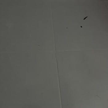 Bianca Boya Boya Ve Vernik Uygulaması Sonrası Hayal Kırıklığı