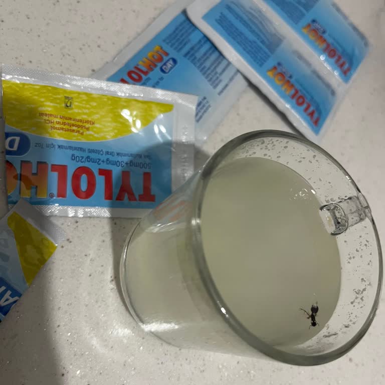 Nobel İlaç Tylol Hot İçinden Böcek Çıktı