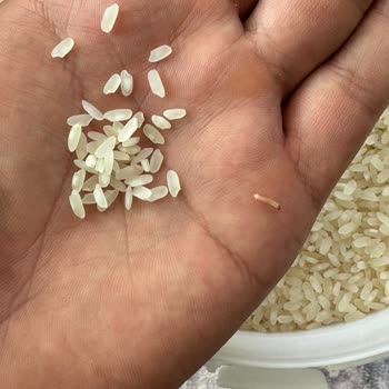 A101 Ovadan Pirinçte Kurt