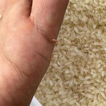 A101 Ovadan Pirinçte Kurt