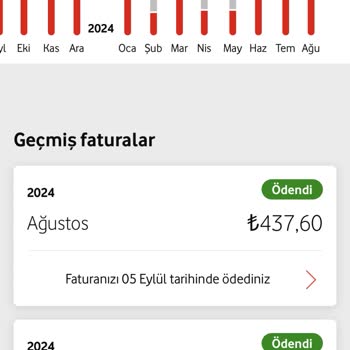 Geç Ödenen Fatura Nedeniyle Hattım Kısıtlandı ve Müşteri Hizmetlerine Ulaşamıyorum