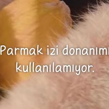 Tecno Mobile Parmak İzi Şikayeti