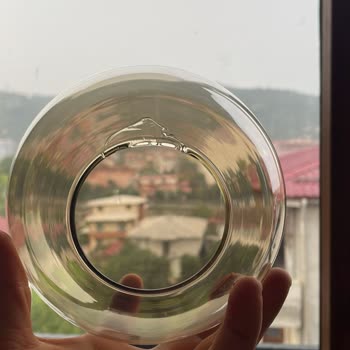 Apliqa Avize Satıcı Ve Firmanın Sorumsuzluğu