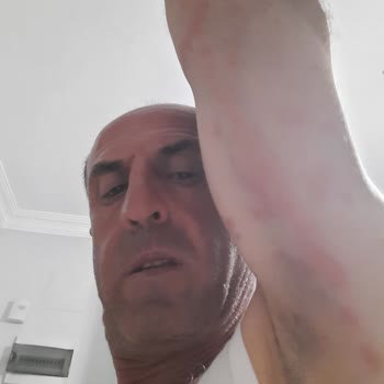 Filo Denizcilik Filo Feribot Kabusu