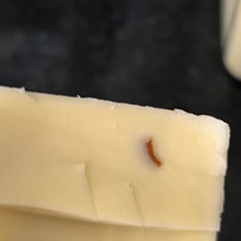 A101 Tarabya Marka Kaşar