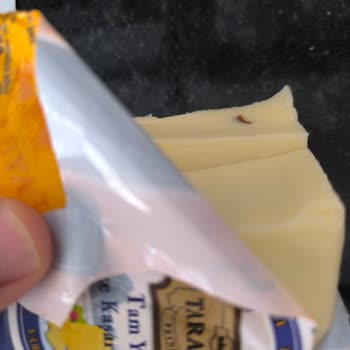 A101 Tarabya Marka Kaşar