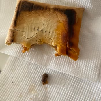 SuperFresh Pizza Tost İçinden Zeytin Çekirdeği Çıktı