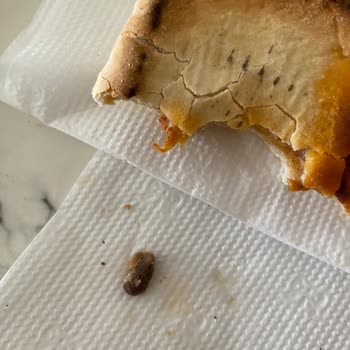 SuperFresh Pizza Tost İçinden Zeytin Çekirdeği Çıktı