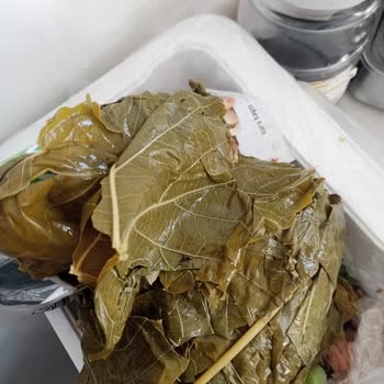 Migros Sera Salamura Asma Yaprağı Sorunu