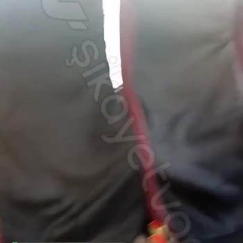 Vib Turizm Sakarya Pis Ve Çağ Dışı
