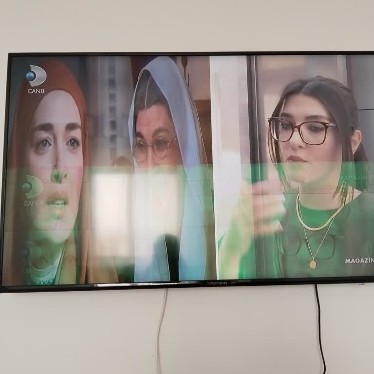 Skytech Televizyon Ekran Arızası Ve Müşteri Hizmetleri Sorunu!