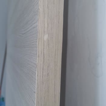 Variodor Oda Kapısı Sorunları!