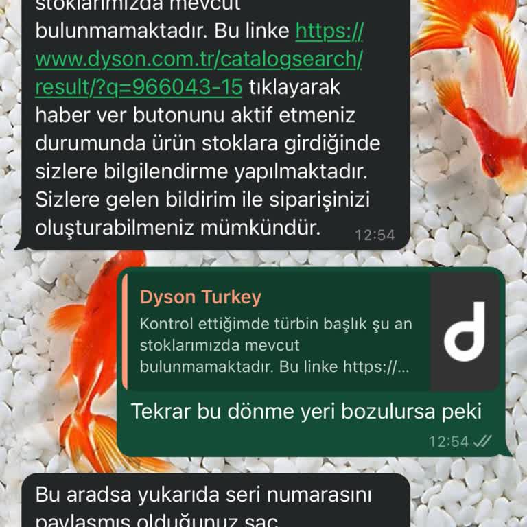 Dyson Süper Mağdur Etti