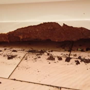 Beko Paslı Çamaşır Makinesi Tamiri