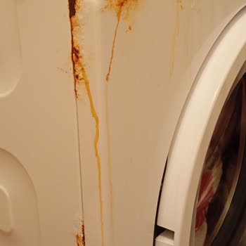 Beko Paslı Çamaşır Makinesi Tamiri