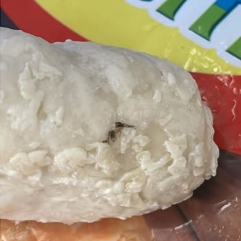 Superfresh. Markalı Börekte Böcek Cıktı