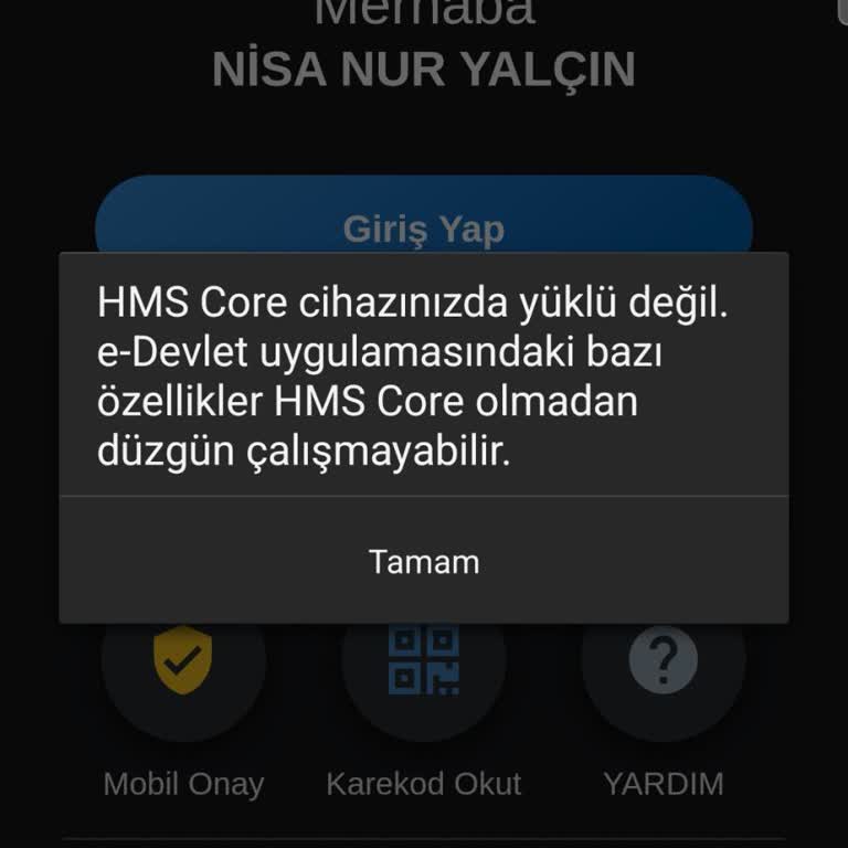 Samsung E Devlet Açılmıyor
