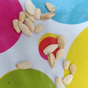 Çerezya Kabak Çekirdeği A101 Satılan