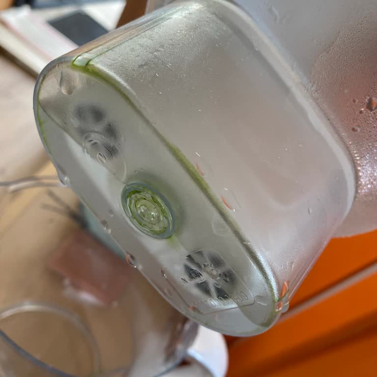 Brita Sürahi Yosunlanıyor Yeşilleniyor