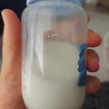 Bebelac Gold Mama Erimiyor