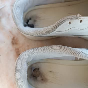 Amazondan Alınan Puma Ayakkabı Taban Yırtılması