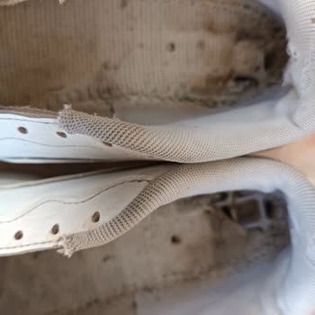 Amazondan Alınan Puma Ayakkabı Taban Yırtılması