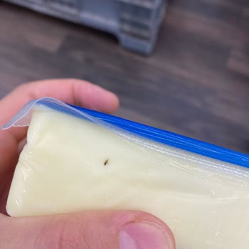 Tarım Kredi Kooperatif Market Peynirden Sinek Çıktı