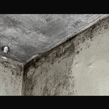 Turkcell Baz İstasyonu Mağduriyeti ve Çözüm Eksikliği