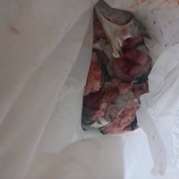 Çam Sakura Şehir Hastanesi Anpa Gross Ayıplı Ürün Satıyor