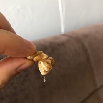 Gold Harvest Kuruyemiş Kurtlu Ceviz Firma Nasıl Cevap Verecek