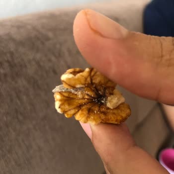 Gold Harvest Kuruyemiş Kurtlu Ceviz Firma Nasıl Cevap Verecek