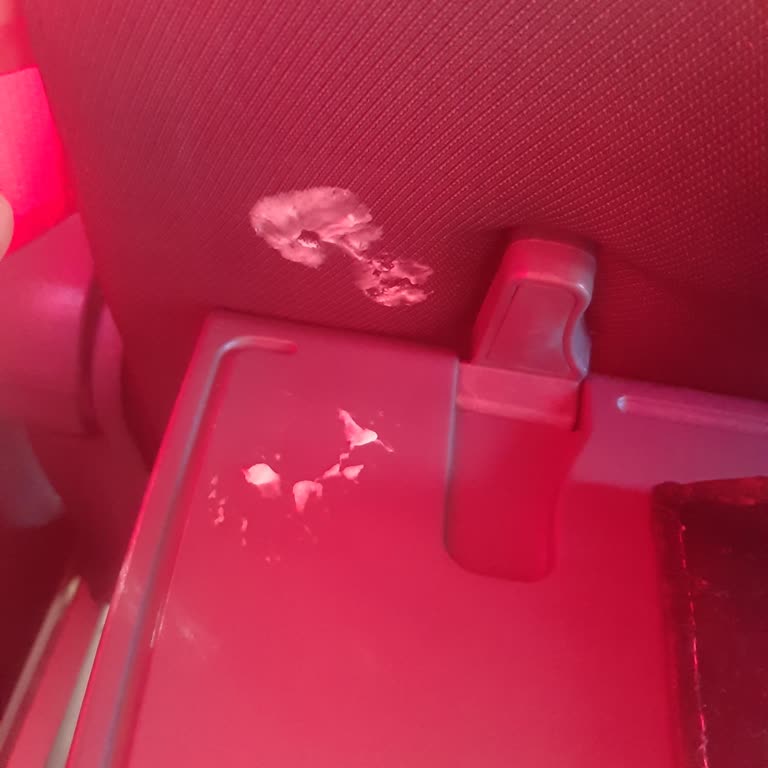 Güney Akdeniz Seyahat İlgisizlik Otobüste Sakız Var