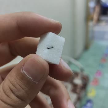 BİM Küp Şekerin İçinden Siyah Cisim Çıktı