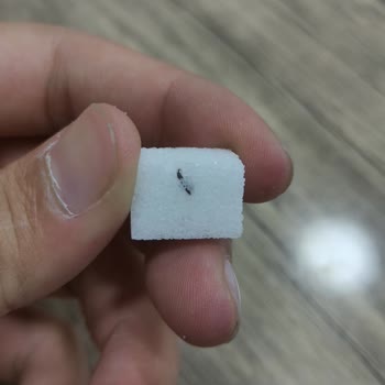 BİM Küp Şekerin İçinden Siyah Cisim Çıktı