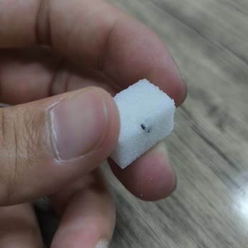 BİM Küp Şekerin İçinden Siyah Cisim Çıktı