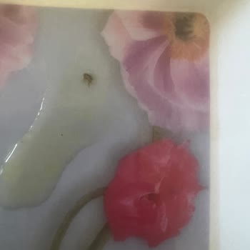 BİM'den Alınan Noodle İçinde Böcek Çıktı