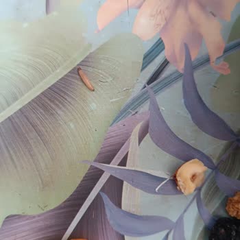 Bayburt Kuruyemiş Şikayetim Var. Ürün Bozuk Çıktı.