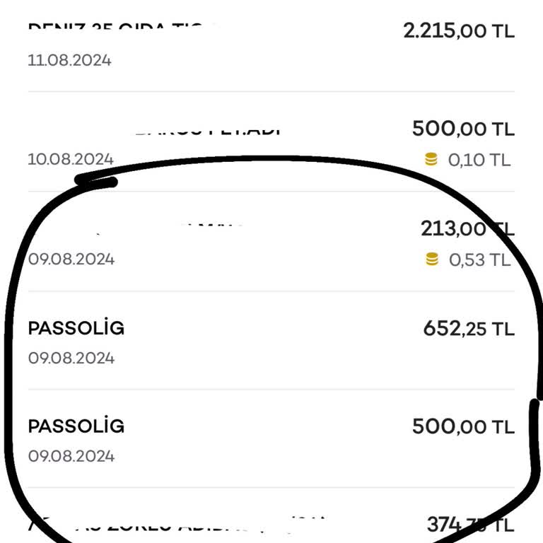 Passolig Mükerrer Ödeme İadesi Yapılmıyor