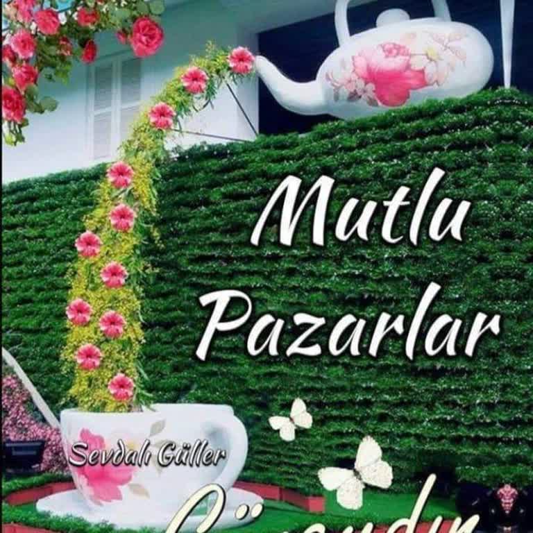 Renault USB Den Şarj Edilemiyor.