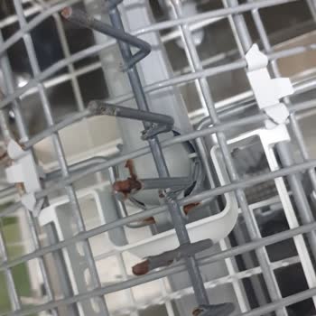 Arçelik Bulaşık Makinesi Telleri Sürekli Paslanıyor ve Kopuyor