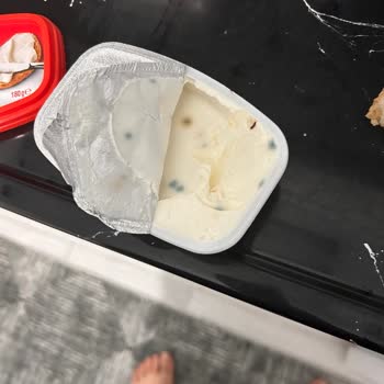 President Peynir Aldığım Krem Peynir Bir Gün İçinde Küflendi