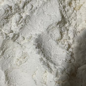 Oba Makarna Oba Undan Çıkan Kurtlar