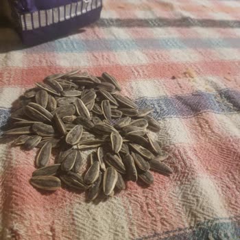 Tadım Artık Güvenilmez Bir Marka