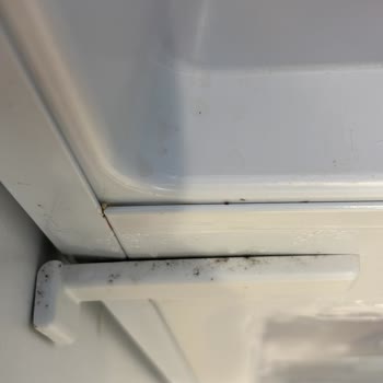 Sürekli Sorun Çıkaran Electrolux Ankastre Buzdolabı