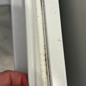 Sürekli Sorun Çıkaran Electrolux Ankastre Buzdolabı