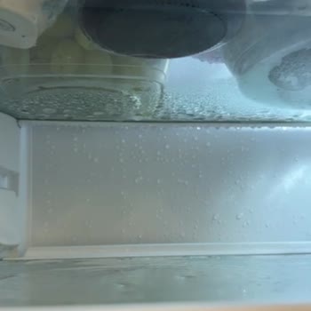 Sürekli Sorun Çıkaran Electrolux Ankastre Buzdolabı