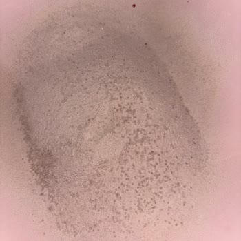 Pakmaya Ürün İçinde Ölü Güve