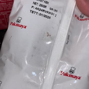 Pakmaya Ürün İçinde Ölü Güve