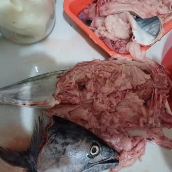 Saathane Kıyak Kardeşler Bayat Balık