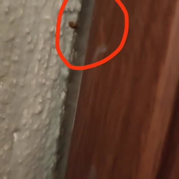 Oscar Seaside Hotel & Spa Bodrum Oscar Sea Side & SPA Tatilinde Yaşanan Büyük Hayal Kırıklığı